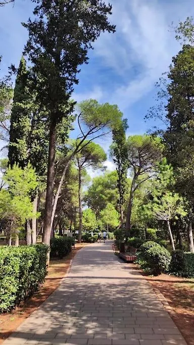 Apartment Apartman Nilema Rovinj Croatia